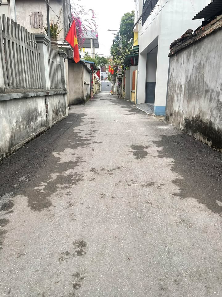 Đất nền đường Phượng Mao, 100m² giá chỉ 2 tỷ - Đầu tư sinh lời ngay!