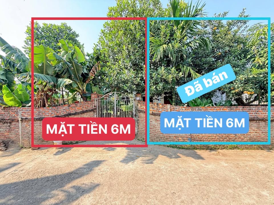 Đất thổ cư phường Tân Dân, Việt Trì 144m² - Giá thỏa thuận, ô tô vào tận nơi!