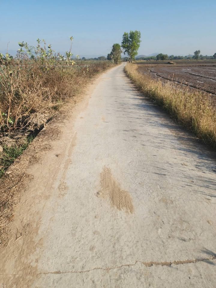 Đất nông nghiệp Xã Hồng Sơn 6120m² giá 250 triệu - Sổ hồng chính chủ