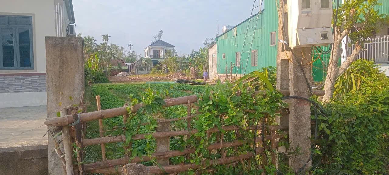 Đất nền Phường Hà Huy Tập, Thành phố Hà Tĩnh 138m² giá chỉ 900 triệu - Cơ hội đầu tư hấp dẫn!