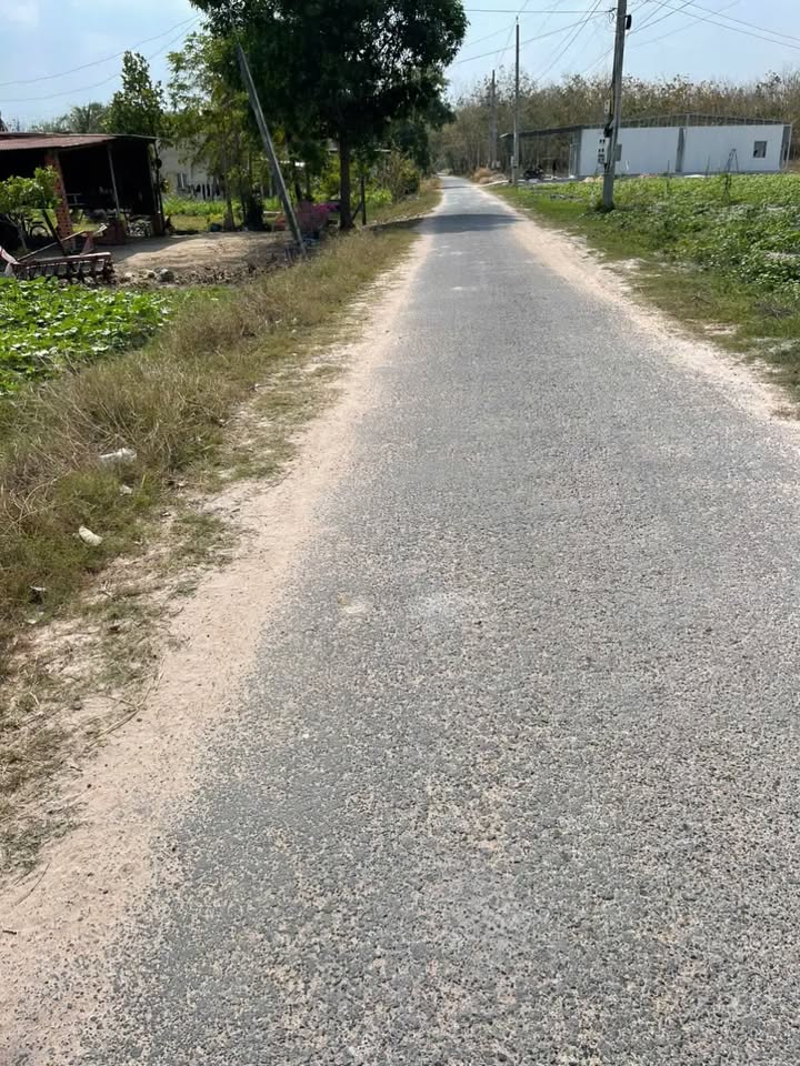 Đất mặt tiền đường nhựa Tân Biên 1000m² giá 350 triệu - Sổ hồng chính chủ!