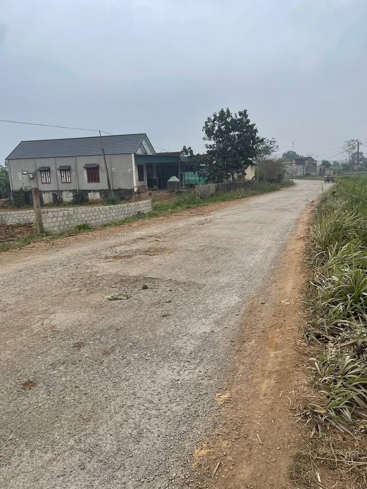 Đất nền Nghĩa Long 210m² giá 700 triệu - Đầu tư sinh lời hấp dẫn!