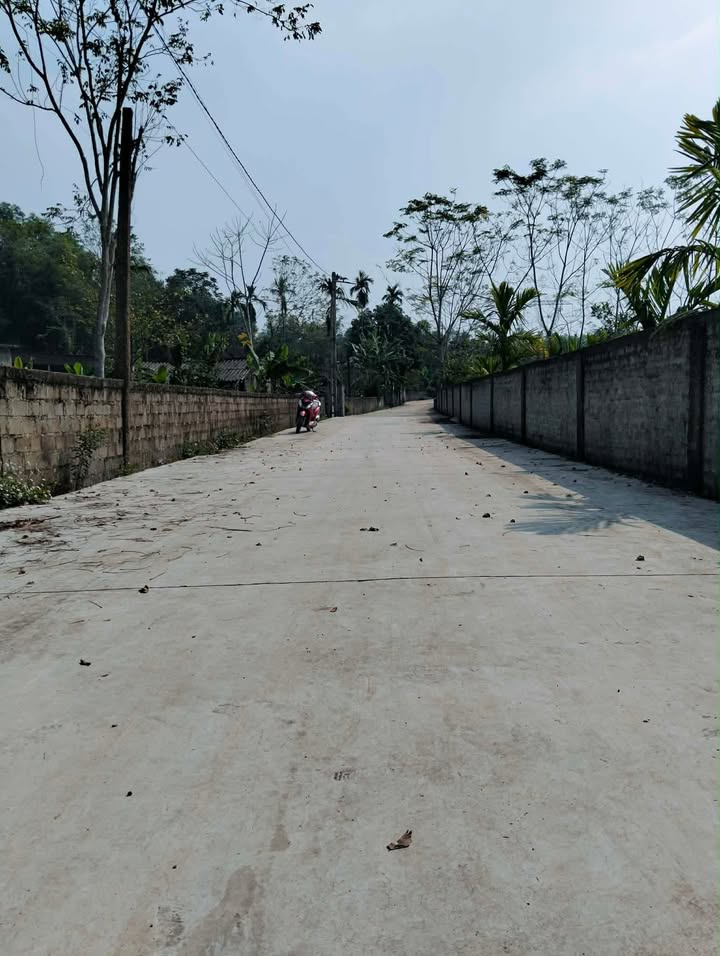 Đất thổ cư 80m² tại xã Đông Hiếu, Thái Hòa - Đầu tư sinh lời tốt!