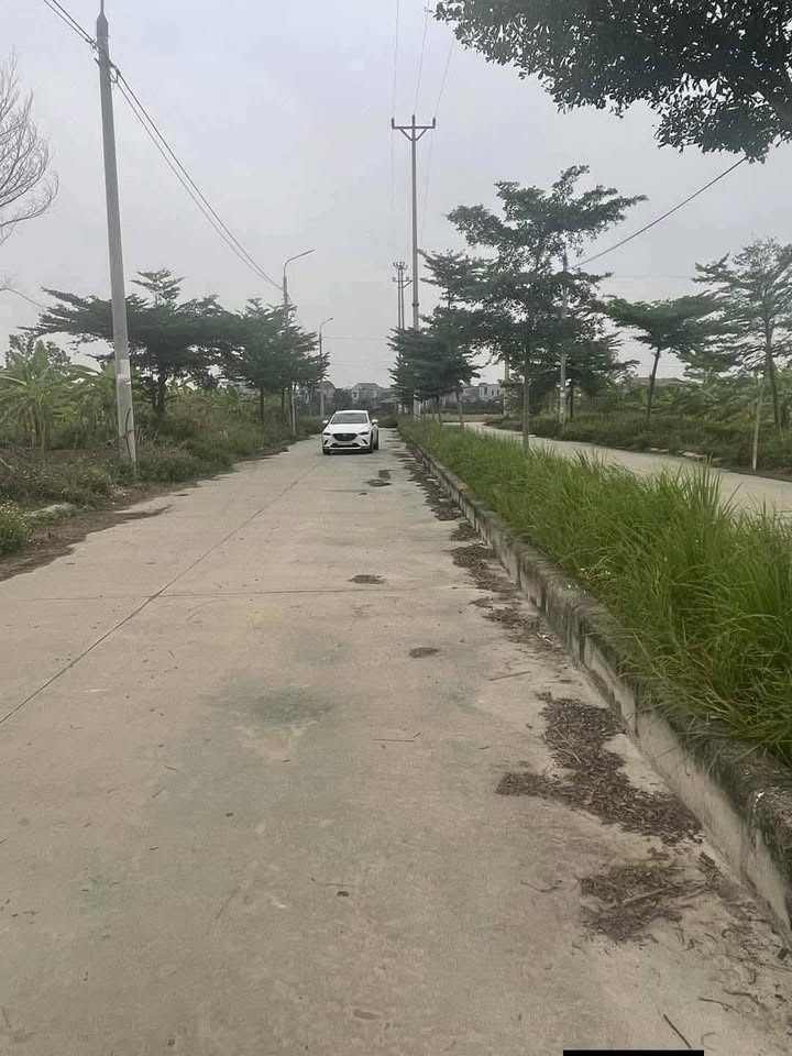 Đất nền Ninh Giang - 90m² hướng Nam chỉ 2.6 tỷ - Gần trường học, bệnh viện!