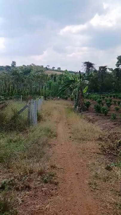 Đất nền Xã Lâm San, Huyện Cẩm Mỹ 432m² giá chỉ 390 triệu - Cơ hội đầu tư lý tưởng!