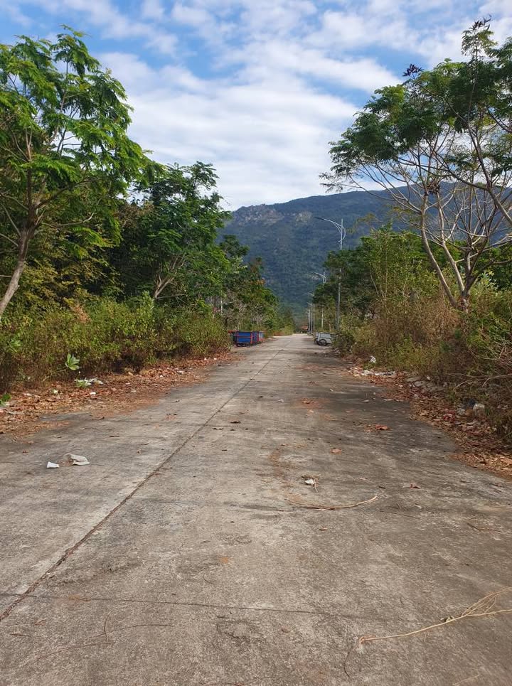 Đất thổ cư 600m² xã Phước Đại giá thỏa thuận - Cơ hội đầu tư hấp dẫn!