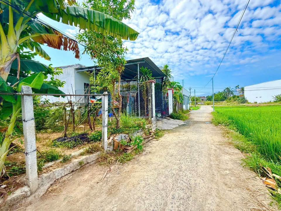 Đất nền thổ cư Vĩnh Phương Nha Trang 79m² giá 1.5 tỷ - Đường ô tô vào tận nơi!