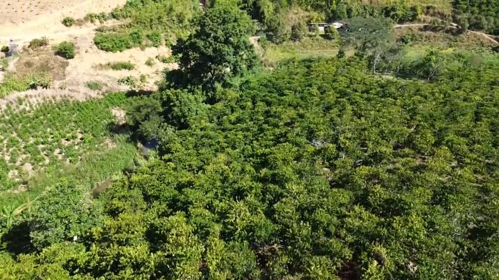 Đất nông nghiệp thôn Đăk Sản, Đam Rông 21.000m² giá 4.6 tỷ - Đầu tư sinh lời hấp dẫn!