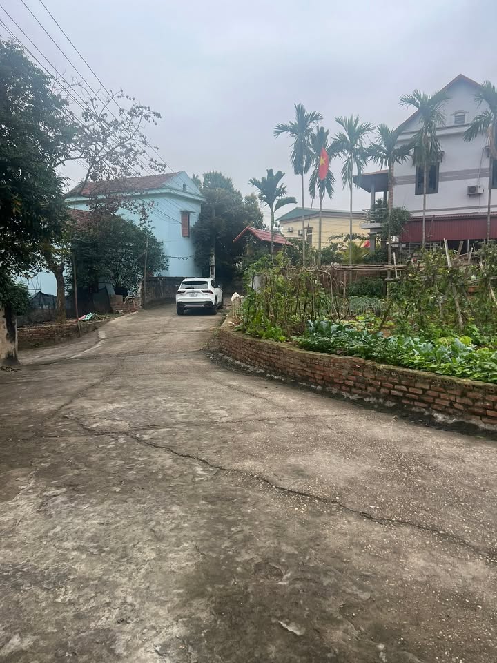 Đất nền Phú Thịnh Nông Trang 109.1m² giá 1 tỷ - Sổ đỏ chính chủ, mặt tiền rộng!