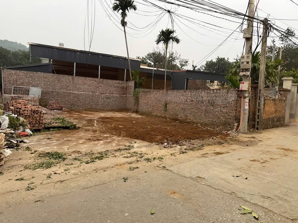 Đất Phật Tích Tiên Du 75.5m² giá 3 tỷ - Đường ô tô tránh nhau