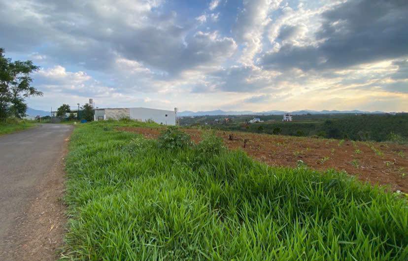 Bán nhà mặt tiền Trần Nhật Duật, Phường 2, Bảo Lộc 360m² giá 2.15 tỷ - Đầu tư sinh lời ngay!