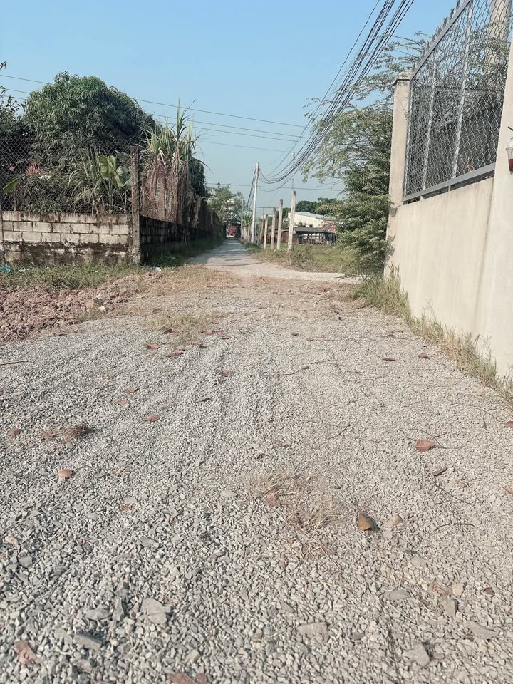 Đất đầu tư tại Huyện Tân Thạnh, Long An 175m² giá 950 triệu - Cơ hội vàng cho nhà đầu tư!