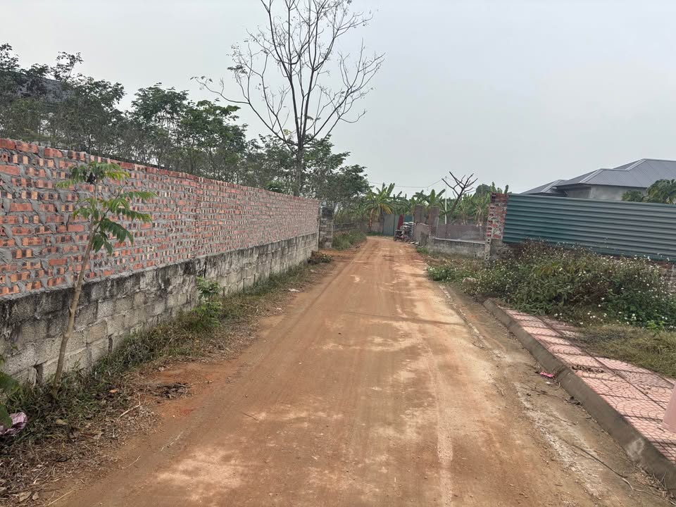 Đất nền Hợp Châu, Tam Đảo 308m² giá 1.6 tỷ - Cơ hội đầu tư tuyệt vời!