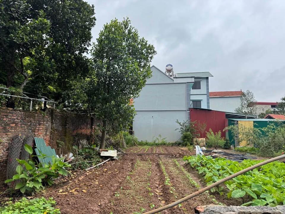 Đất nền Vạn Phúc, Thanh Trì, 102m² giá 5 tỷ - Khuôn đất đẹp, kinh doanh nhỏ!