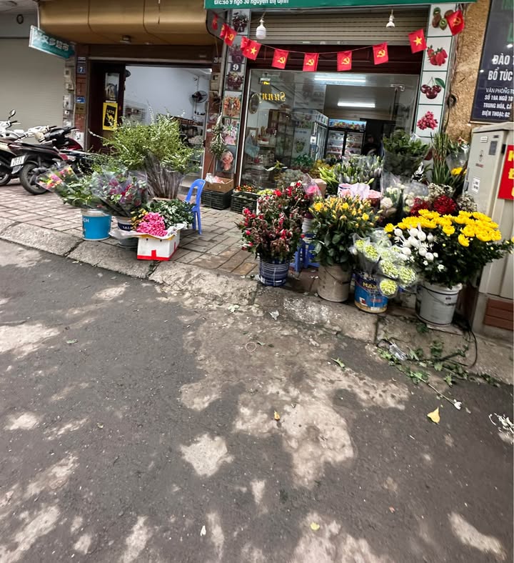 Nhà phố Hoàng Ngân 55m² giá 23 tỷ - Mặt tiền kinh doanh sầm uất!