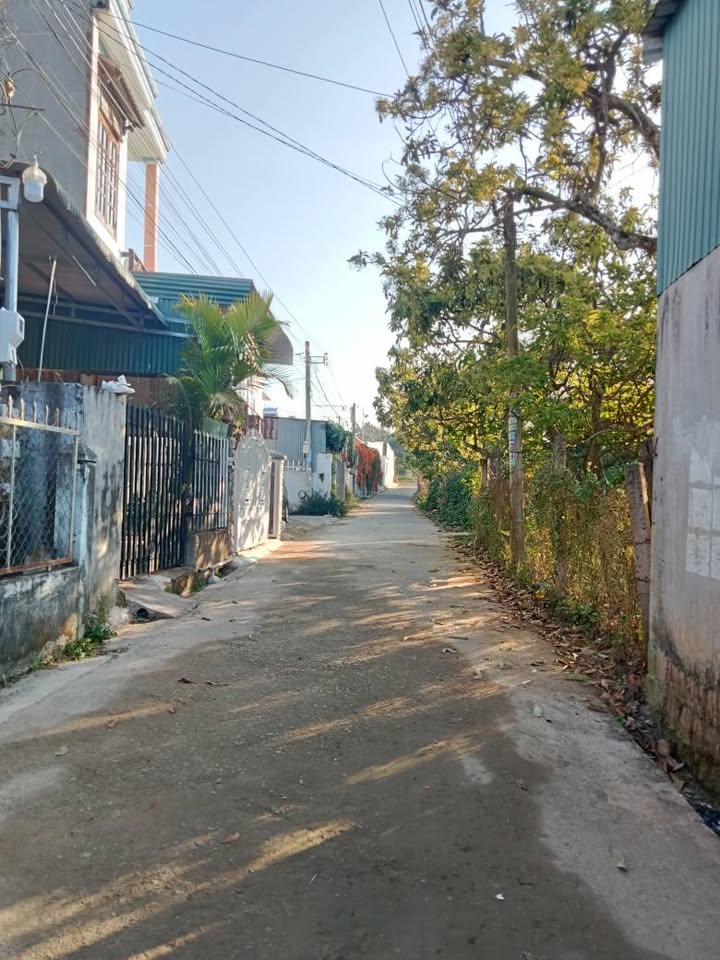 Đất nền tại Liên Hiệp, Đức Trọng, Lâm Đồng 114m² giá 1.6 tỷ - Vị trí đắc địa cho đầu tư!