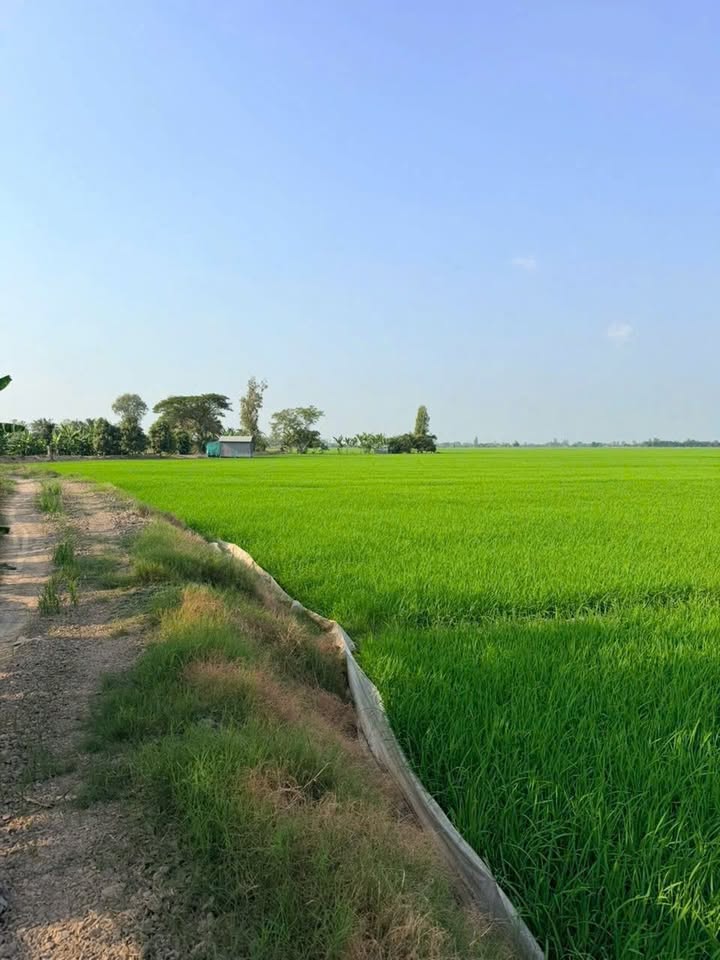 Đất nền Vĩnh Khánh, Thoại Sơn 6000m² giá 540 triệu - Cơ hội đầu tư hấp dẫn!