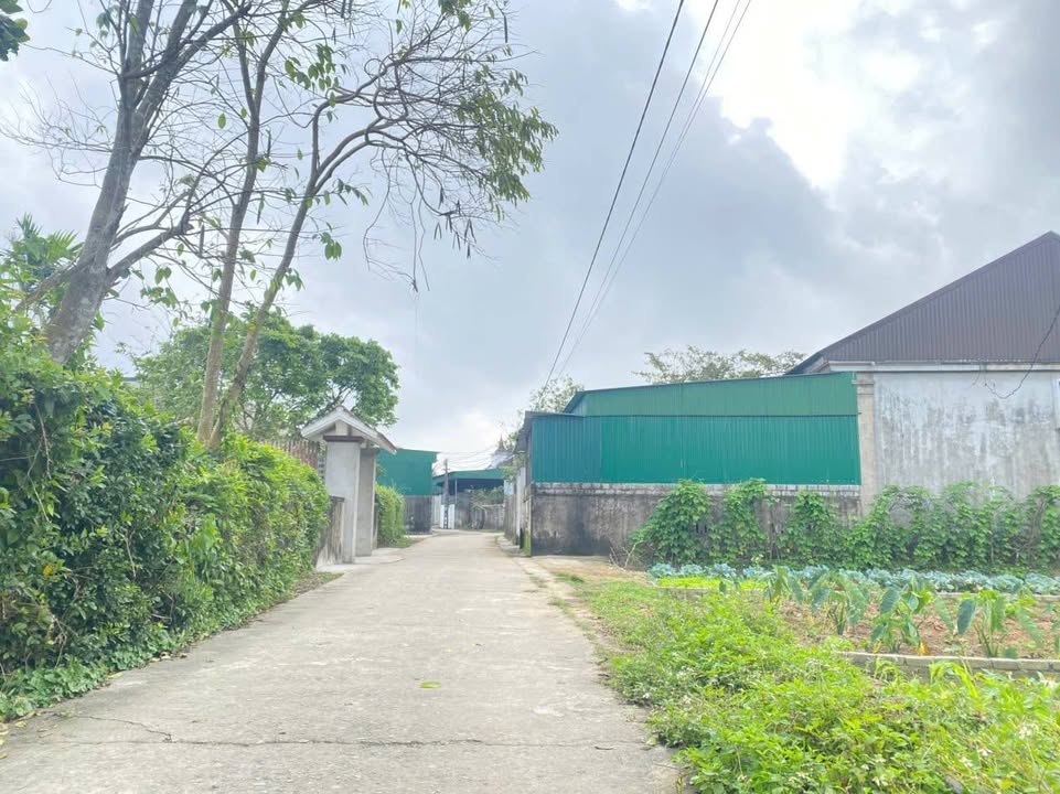 Đất nền lô góc Thái Thịnh, Nghi Thái 147m² giá 2.6 tỷ - Cơ hội đầu tư tuyệt vời!