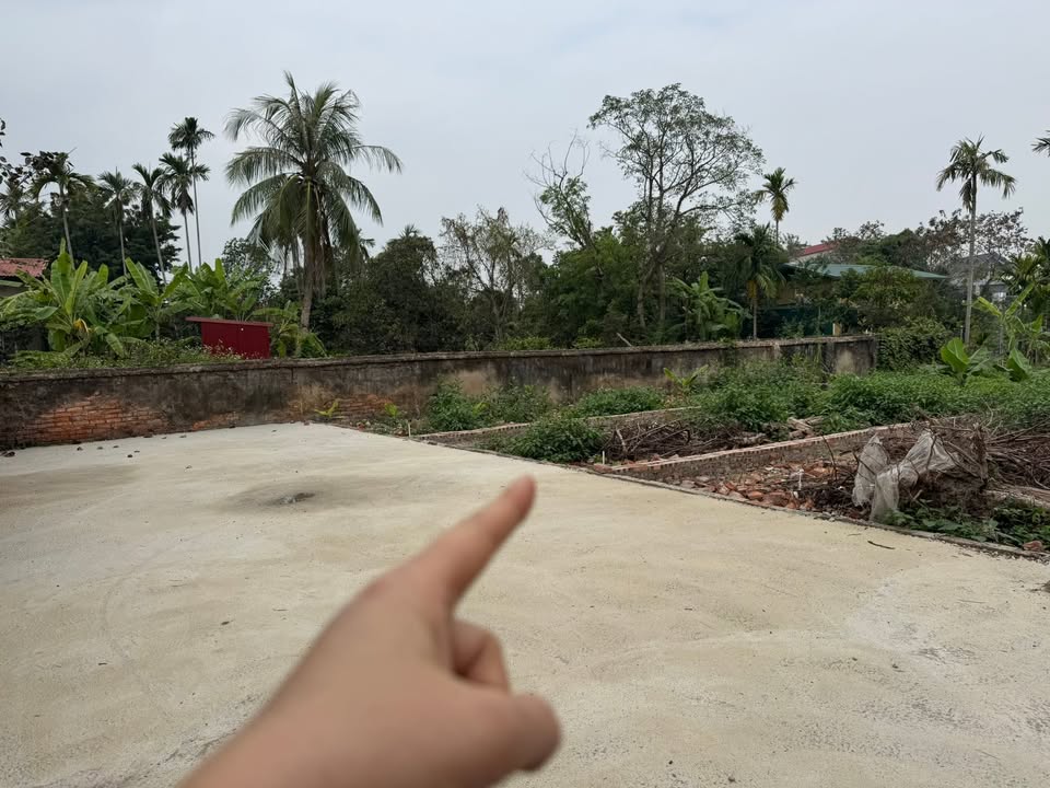 Đất nền xã Thanh Mai, huyện Thanh Oai 50m² chỉ 2 tỷ - Sổ đỏ chính chủ!