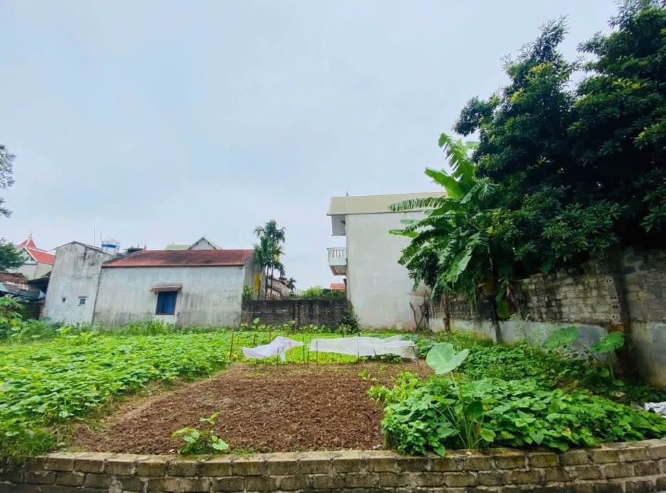 Đất ở Xã Tốt Động, Huyện Chương Mỹ 100m² giá chỉ 1 tỷ - Cơ hội đầu tư hấp dẫn!