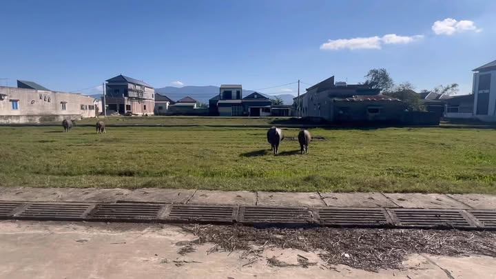 Đất đấu giá thôn Đan Trung, xã Cẩm Quang, 560m² giá 3.1 tỷ - Cơ hội đầu tư hấp dẫn!