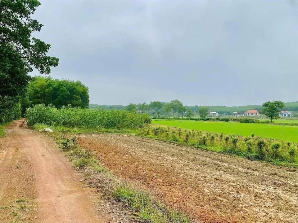 Đất nông nghiệp 640m² tại Phong An, Huế - Giá chỉ 78 triệu!