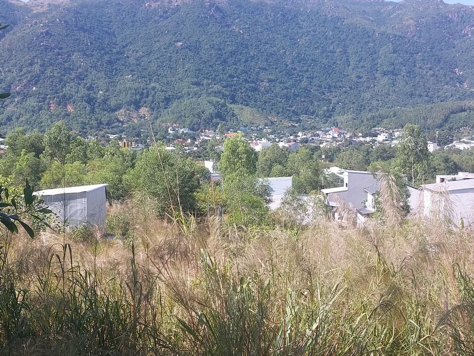 Đất nền Phước Đồng Nha Trang 3000m² giá 2.7 tỷ - Đầu tư sinh lời ngay!