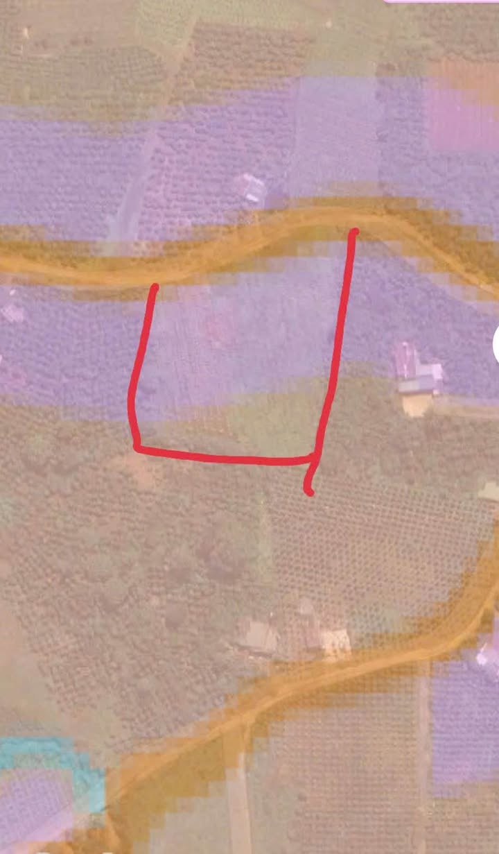 Đất thổ cư Tân Văn Lâm Hà 5200m² giá 4.5 tỷ - Cơ hội đầu tư tuyệt vời!