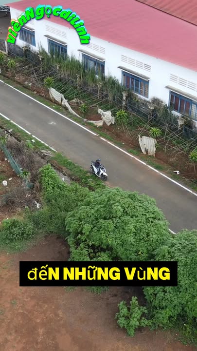 Đất thổ cư Thị trấn Di Linh 140m² giá 1.3 tỷ - Vị trí trung tâm thuận lợi!