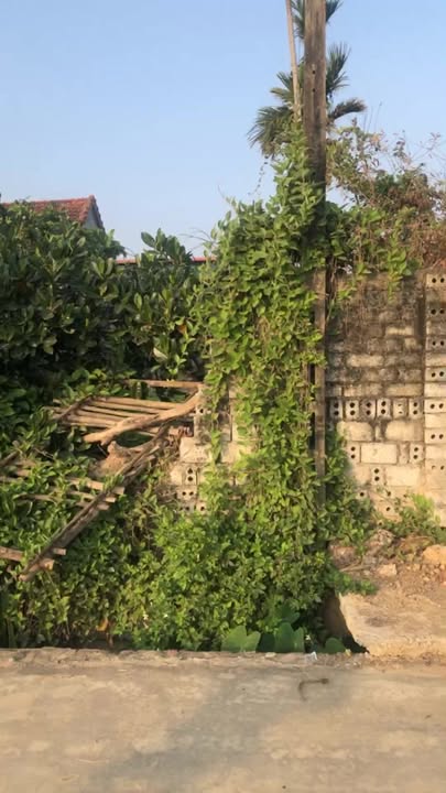 Đất nền Huyện Quỳnh Lưu 138m² giá 1 tỷ - Vị trí gần bệnh viện thuận lợi