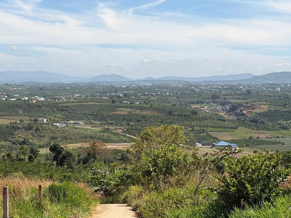 Đất nền Tân Hà Lâm Hà 100m² giá chỉ 490 triệu - Sổ đỏ chính chủ, đầu tư sinh lời!