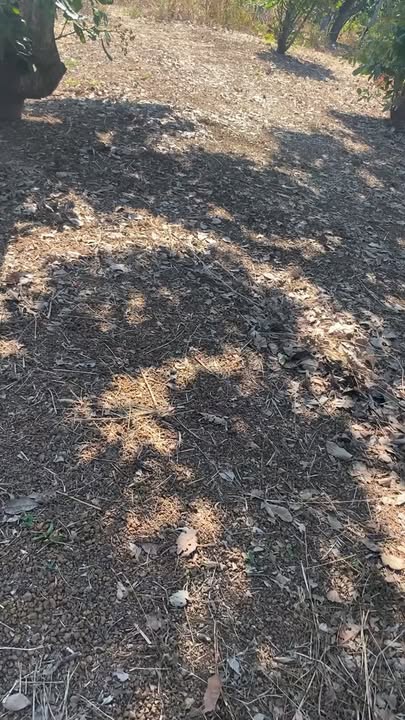 Đất nông nghiệp 1,6ha tại xã Ia Dom, huyện Đức Cơ - Giá chỉ 330 triệu đồng!