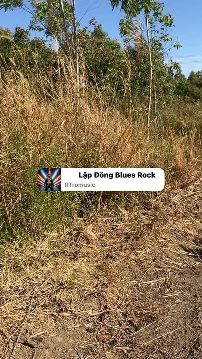 Đất nông nghiệp 10ha tại Xã Ia Le, Huyện Chư Pưh - Cơ hội đầu tư hấp dẫn!