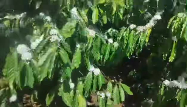 Đất nền 10.000m² mặt đường 135, giá 4 tỷ - Sổ đỏ chính chủ!