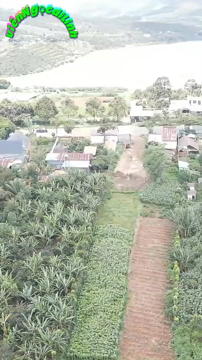 Đất thổ cư Đinh Lạc, Di Linh 221m² giá 1.2 tỷ - Mặt tiền 10m, gần QL20!