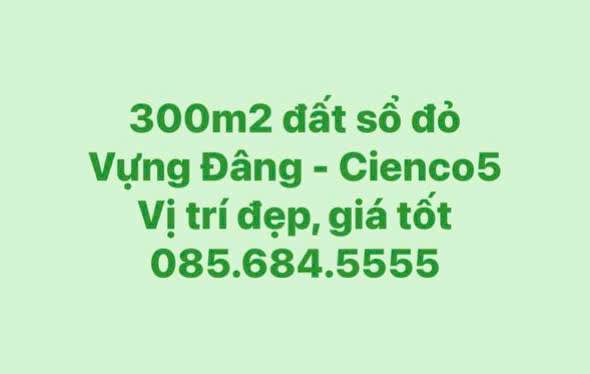 Đất nền sổ đỏ Cienco5 Hạ Long 300m² - Vị trí đẹp, giá tốt