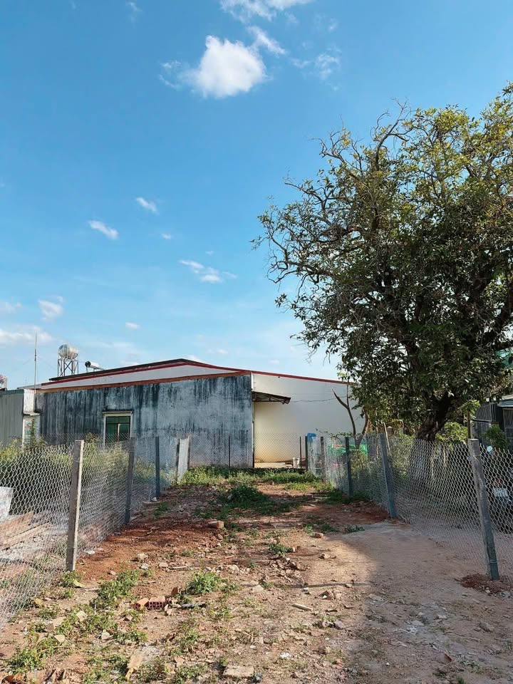 Đất nền hẻm Hùng Vương, Tân Lập, 110m² giá 3.25 tỷ - Pháp lý rõ ràng!