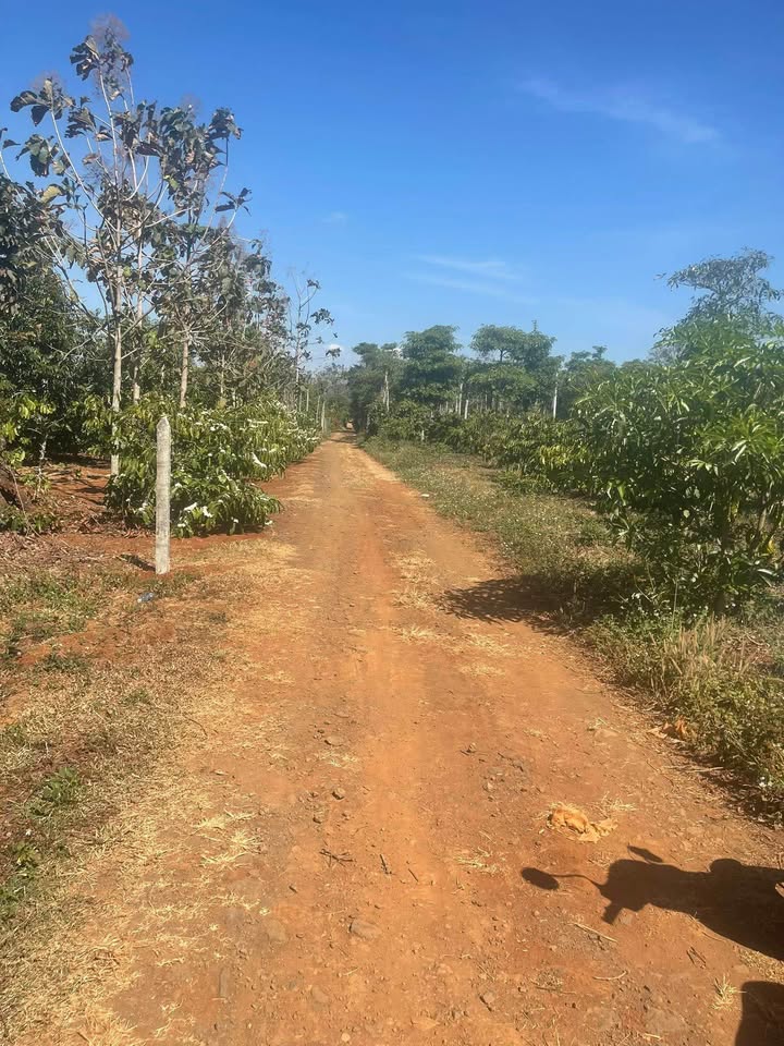 Đất nền Phường Khánh Xuân 500m² giá 400 triệu - Cơ hội đầu tư hấp dẫn!