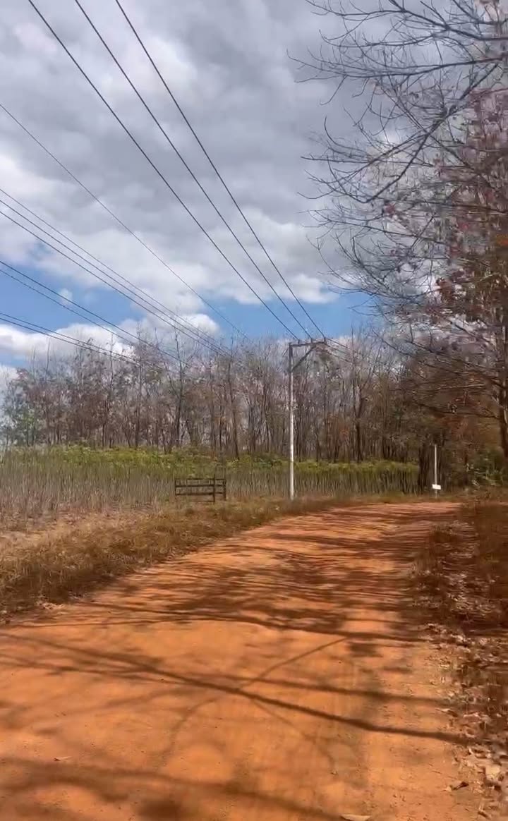 Đất nông nghiệp Lộc Tấn, Lộc Ninh, 50.000m² giá 7 tỷ - Cơ hội đầu tư hấp dẫn!