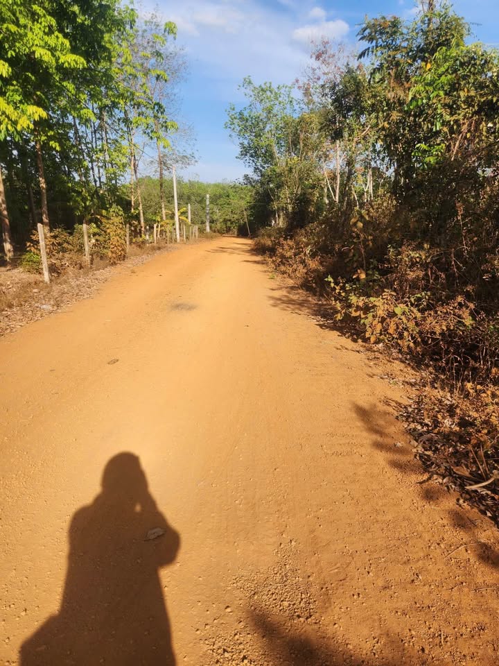 Đất thổ cư 230m² xã Tân Hưng, huyện Hớn Quản - Giá cực tốt, diện tích lớn!