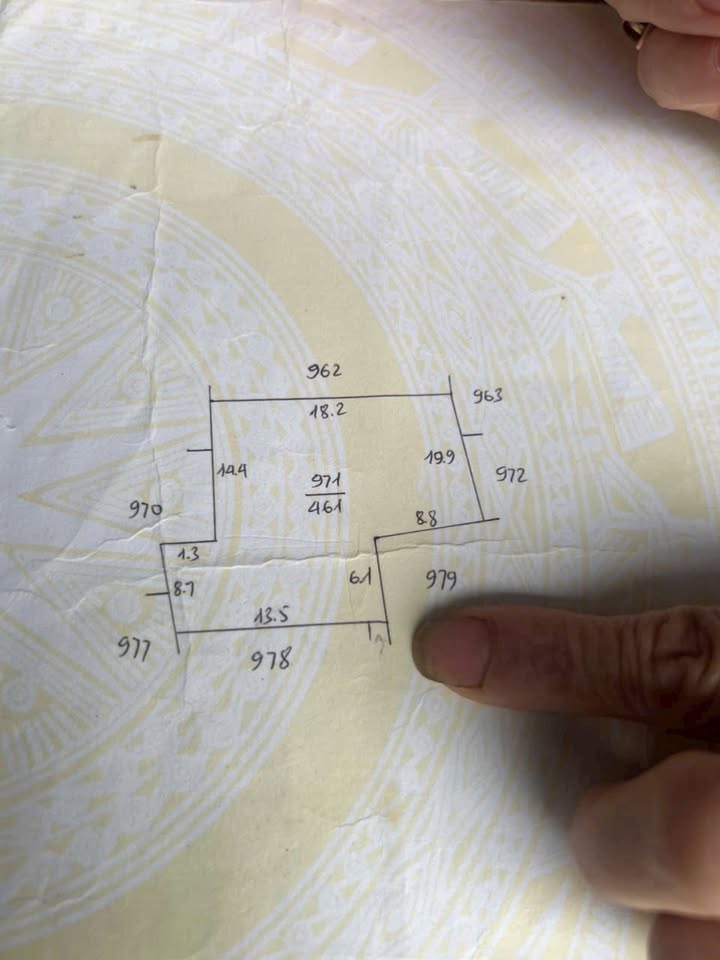 Đất thổ cư 300m² tại Minh Đức, Bắc Giang - Cần tiền bán gấp chỉ 1 tỷ!