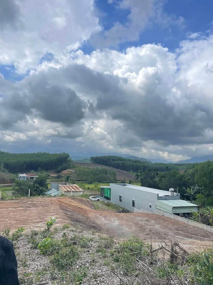 Đất thổ cư Hòa Phong Đà Nẵng 4500m² giá 3 tỷ - Sổ đỏ chính chủ, ô tô vào tận nơi!