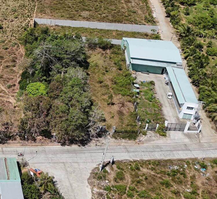 Đất nền dự án tại Đường Búng Gội, Xã Cửa Dương, 10.000m² - Cơ hội đầu tư hấp dẫn!