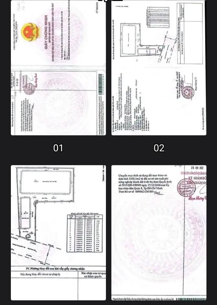 Đất nền mặt tiền Trương Đình Hội Quận 8 3150m² giá 180 tỷ - Cơ hội đầu tư sinh lời!