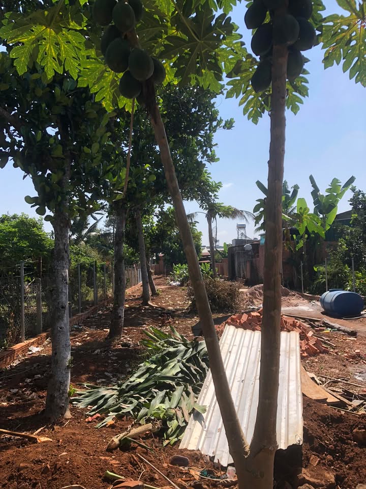 Đất nền xã Đức Tín, huyện Đức Linh, 500m² giá 400 triệu - Cơ hội đầu tư tuyệt vời!