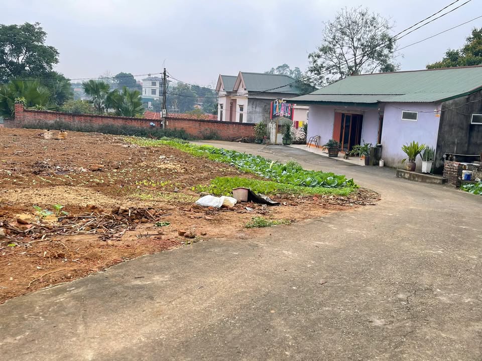 Đất Lô Góc 2 Mặt Tiền Xã Thanh Đình 100m² Giá 800-899 Triệu - Đầu Tư Sinh Lời!