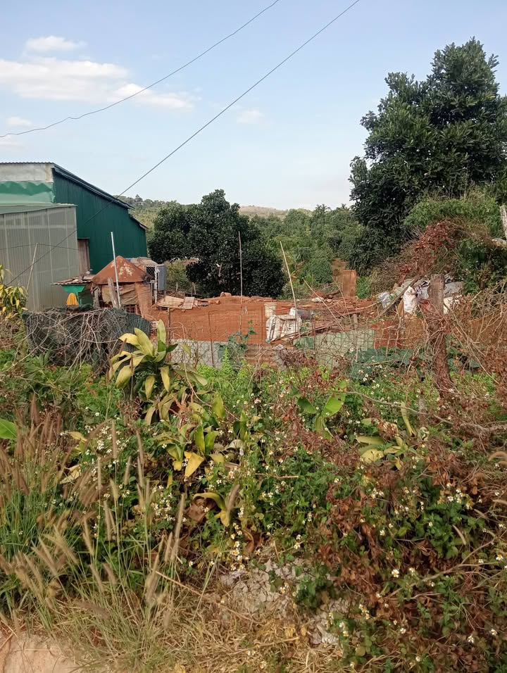 Đất thổ cư mặt đường QL28, Phường Đông Gia Nghĩa, 600m² - Giá chỉ 12 tỷ VND