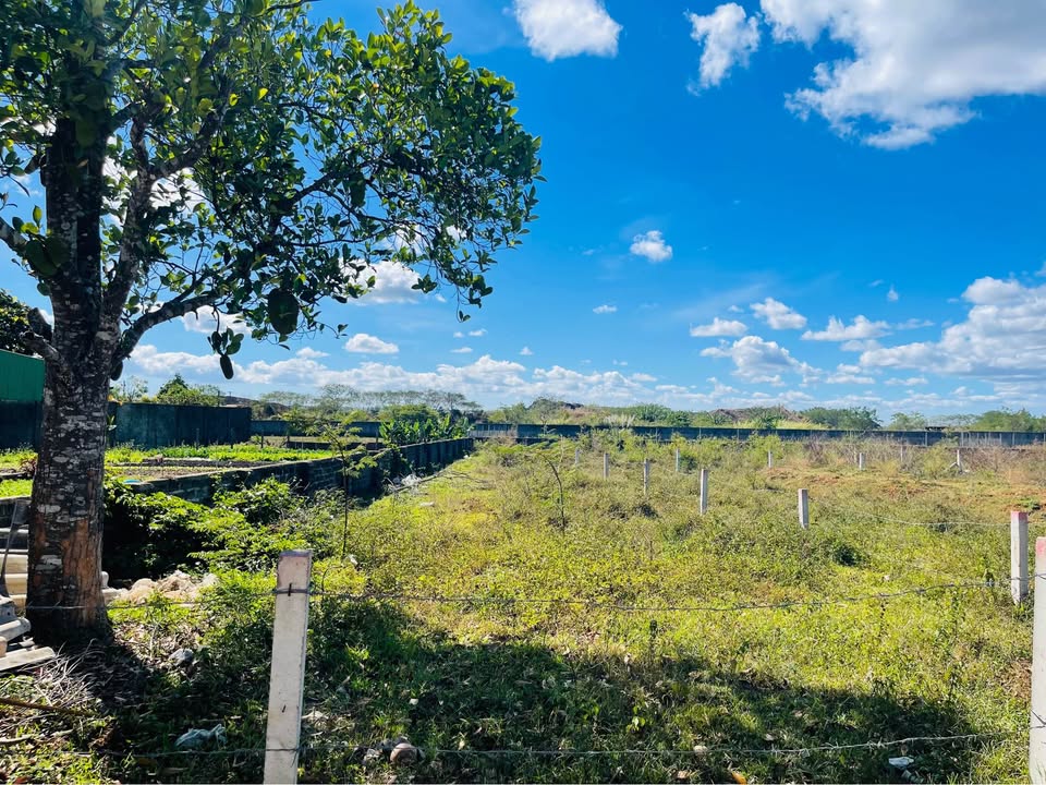 Lô đất 600m² hẻm 123 Lê Đại Hành, phường Thống Nhất - Giá chỉ 1.6 tỷ