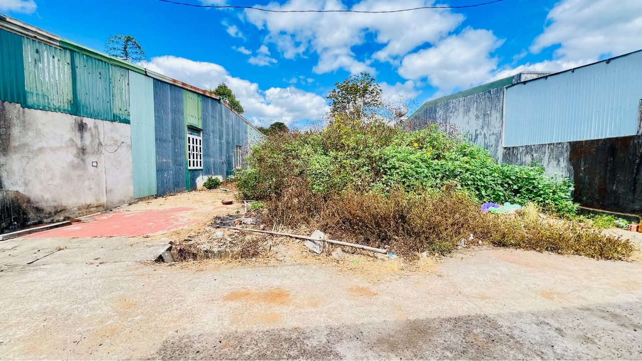 Đất nền 121 Lê Đại Hành, Phường Thống Nhất, Pleiku 325m² giá 1.7 tỷ - Sổ hồng chính chủ!