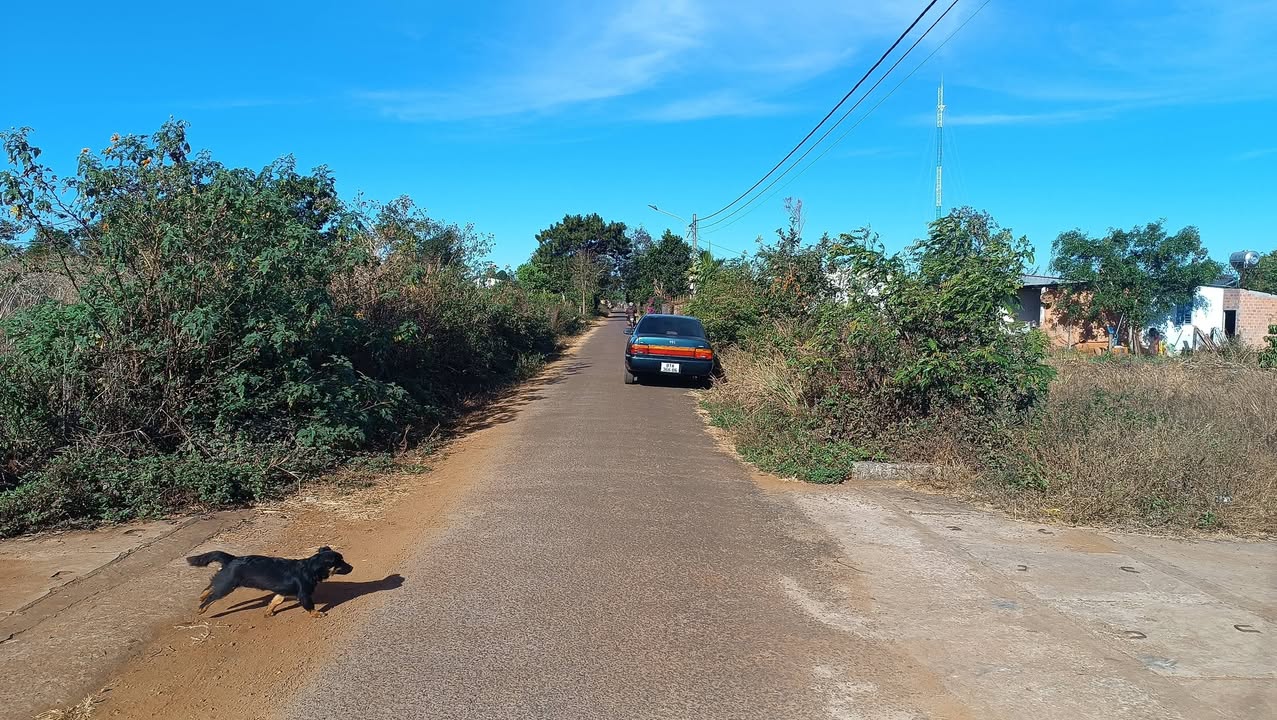 Đất 2 mặt đường Đào Duy Từ, Biển Hồ, 624m² - Tiềm năng đầu tư lớn!